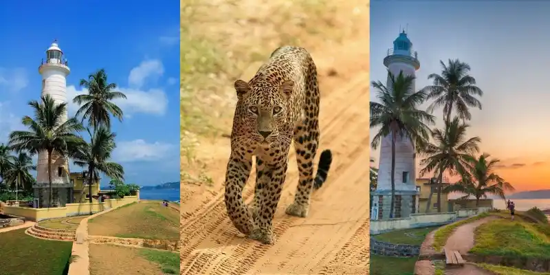 Mumbai to Sri Lanka Holiday